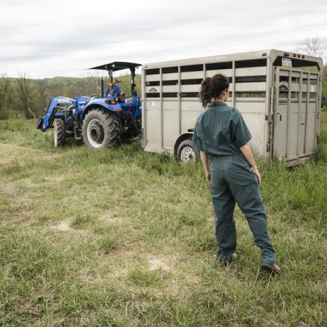 professionnelle de l'agriculture