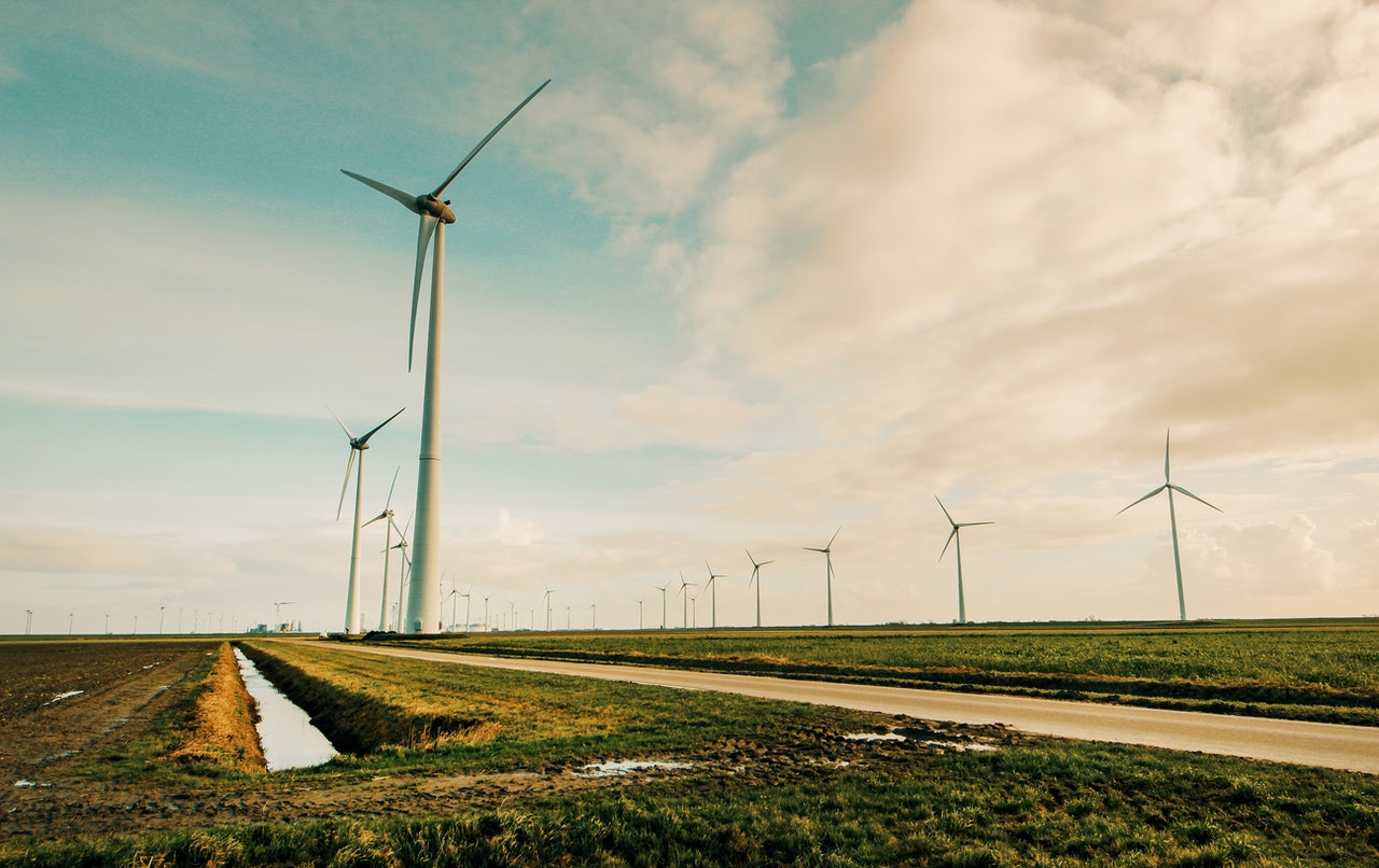 champ d'éoliennes