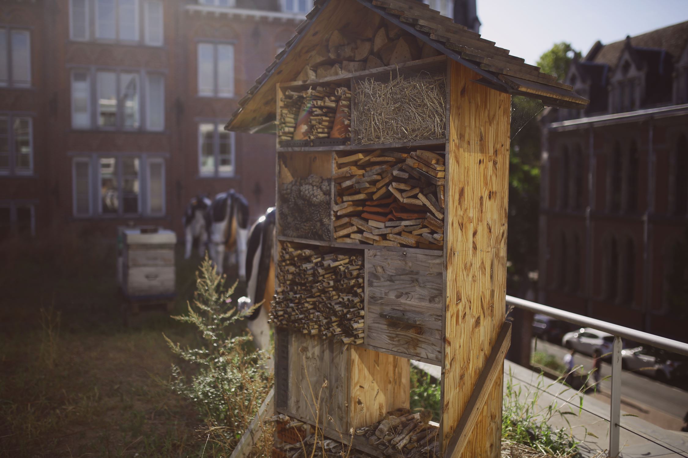 maison à insectes sur le toit du bâtiment