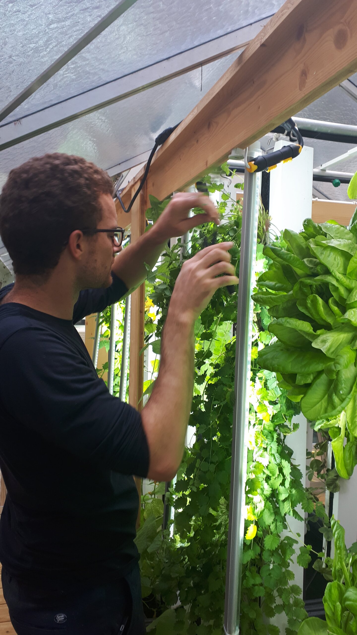 professionnel de l'agriculture en serre