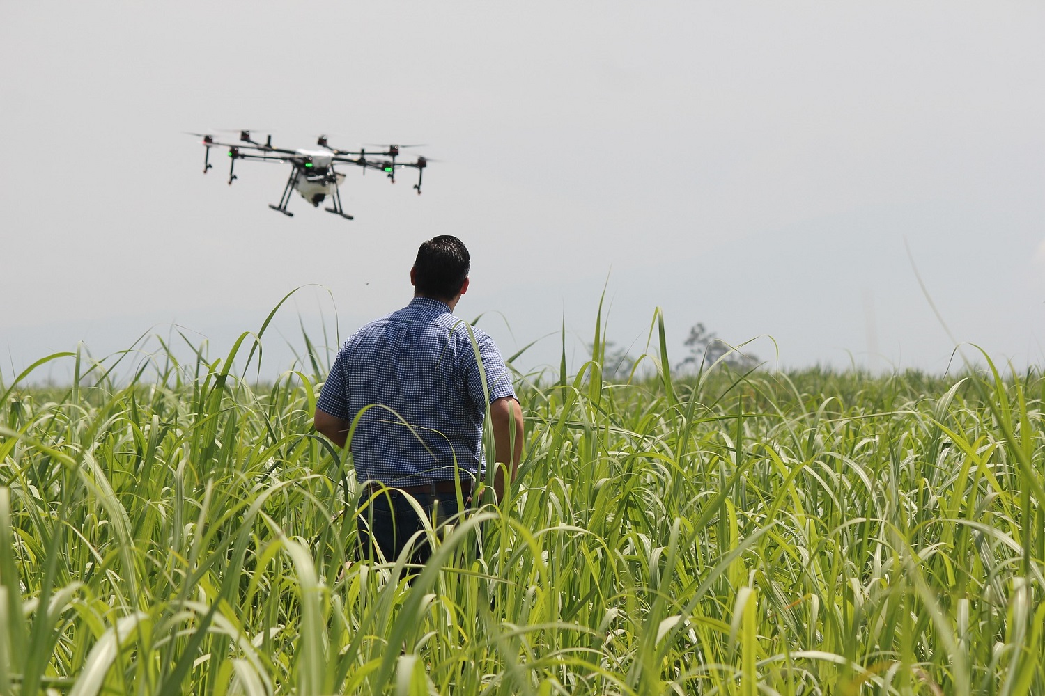 drone au dessus d'un champs