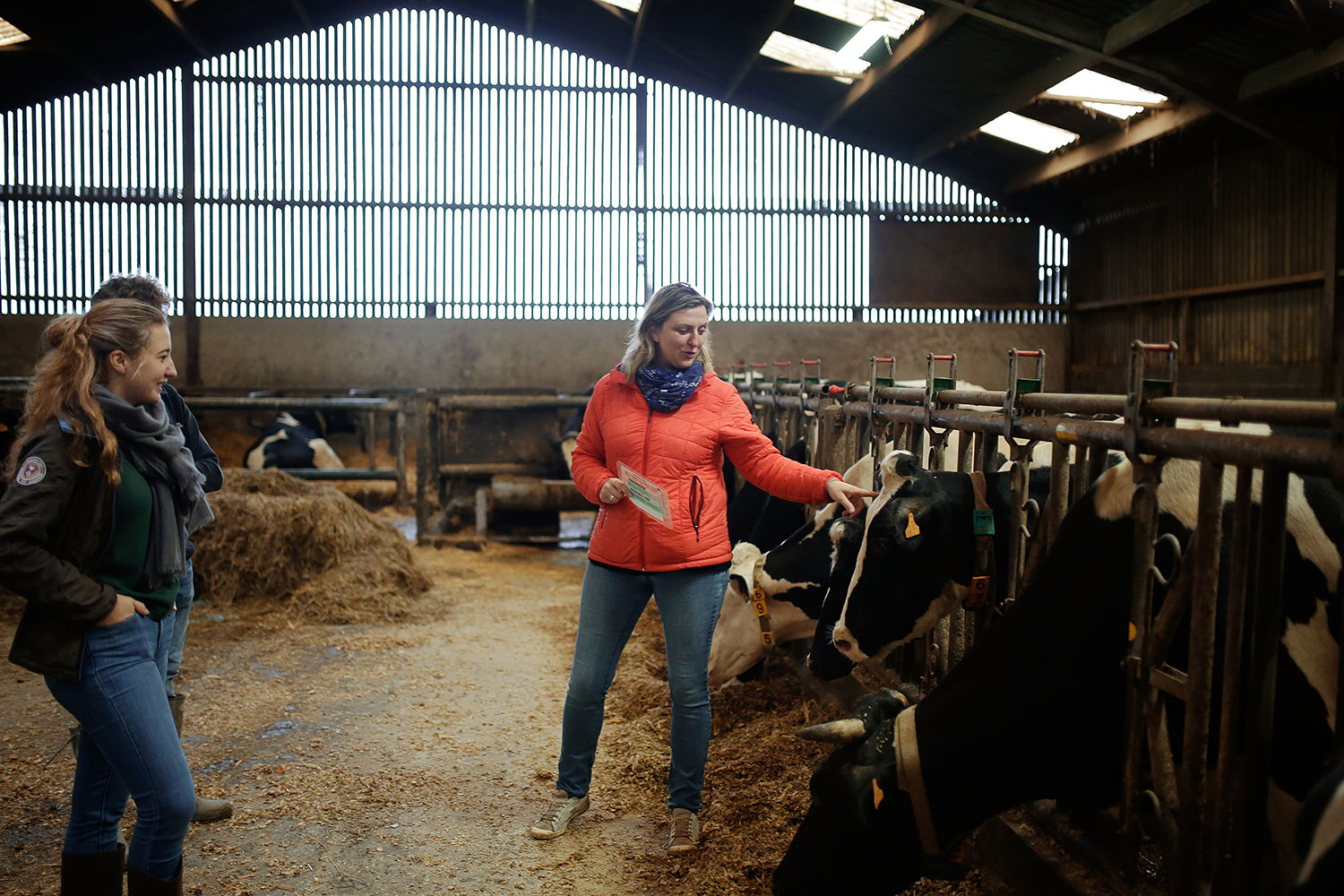 students visiting a farm