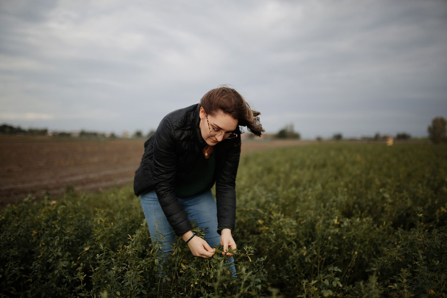 professionnelle de l'agriculture