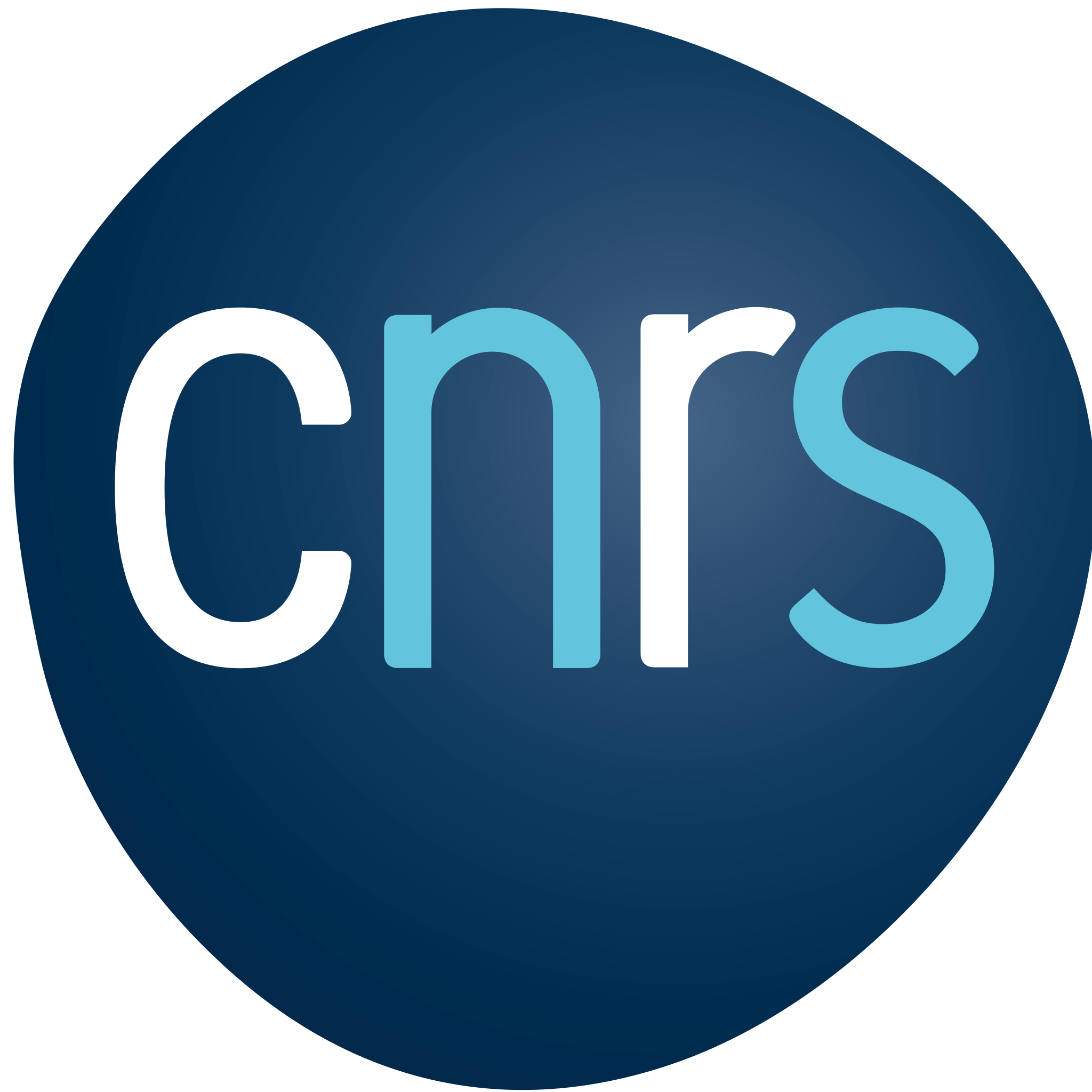 Logo Centre National de la Recherche Scientifique