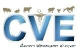 Logo CVE