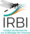 logo IRBI