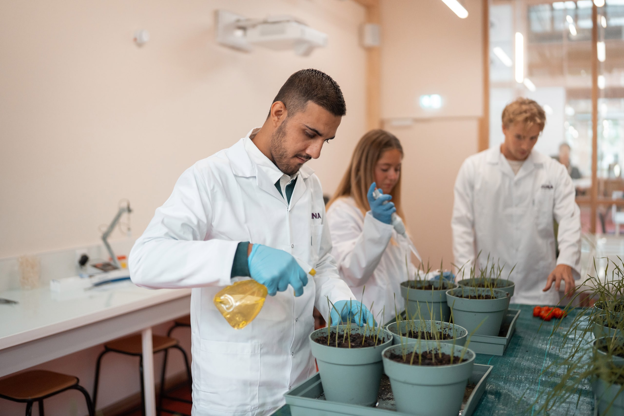 Des étudiants du programme ISA qui travaillent sur des plantes