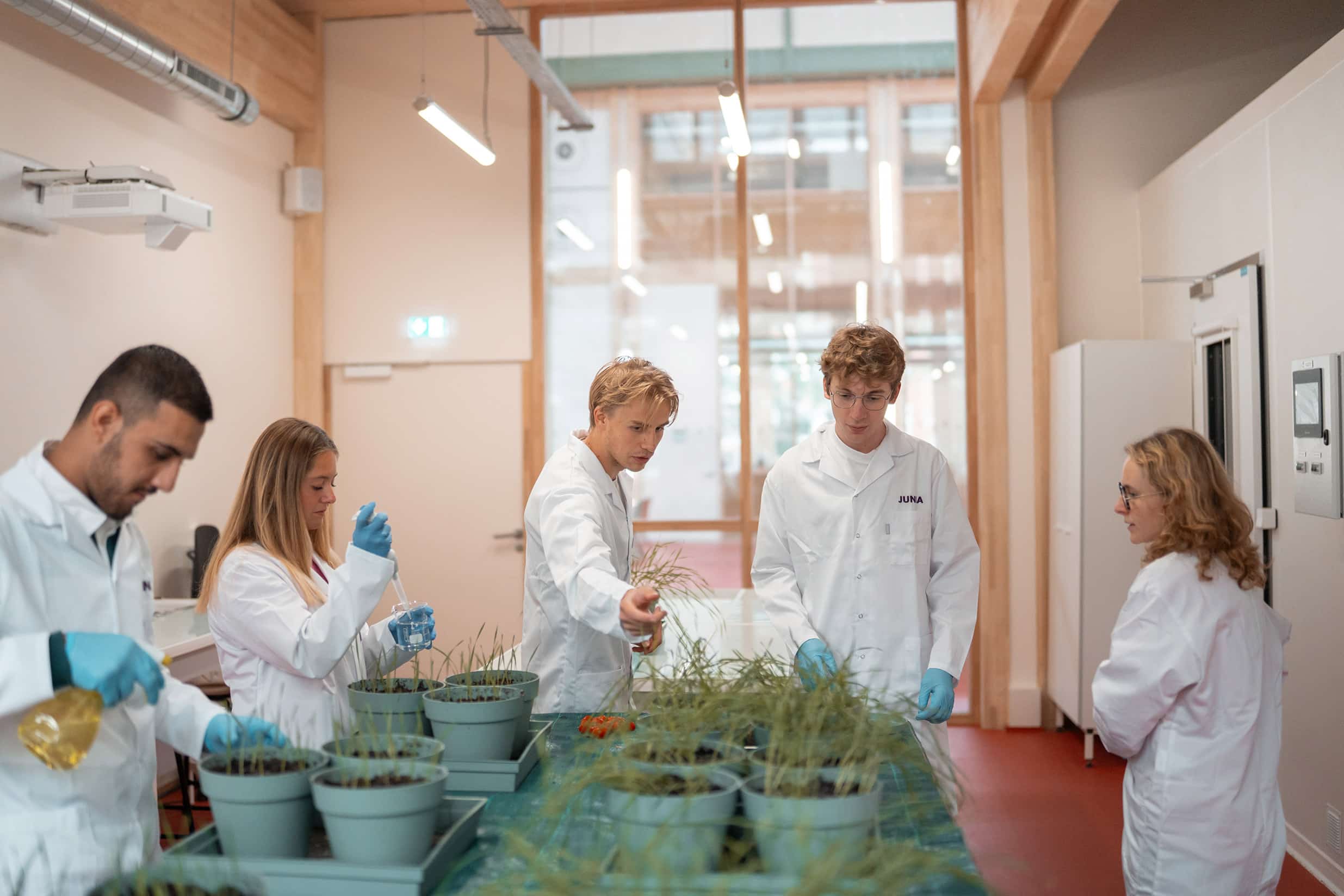 Etudiants en train de faire de la recherche sur des plantes