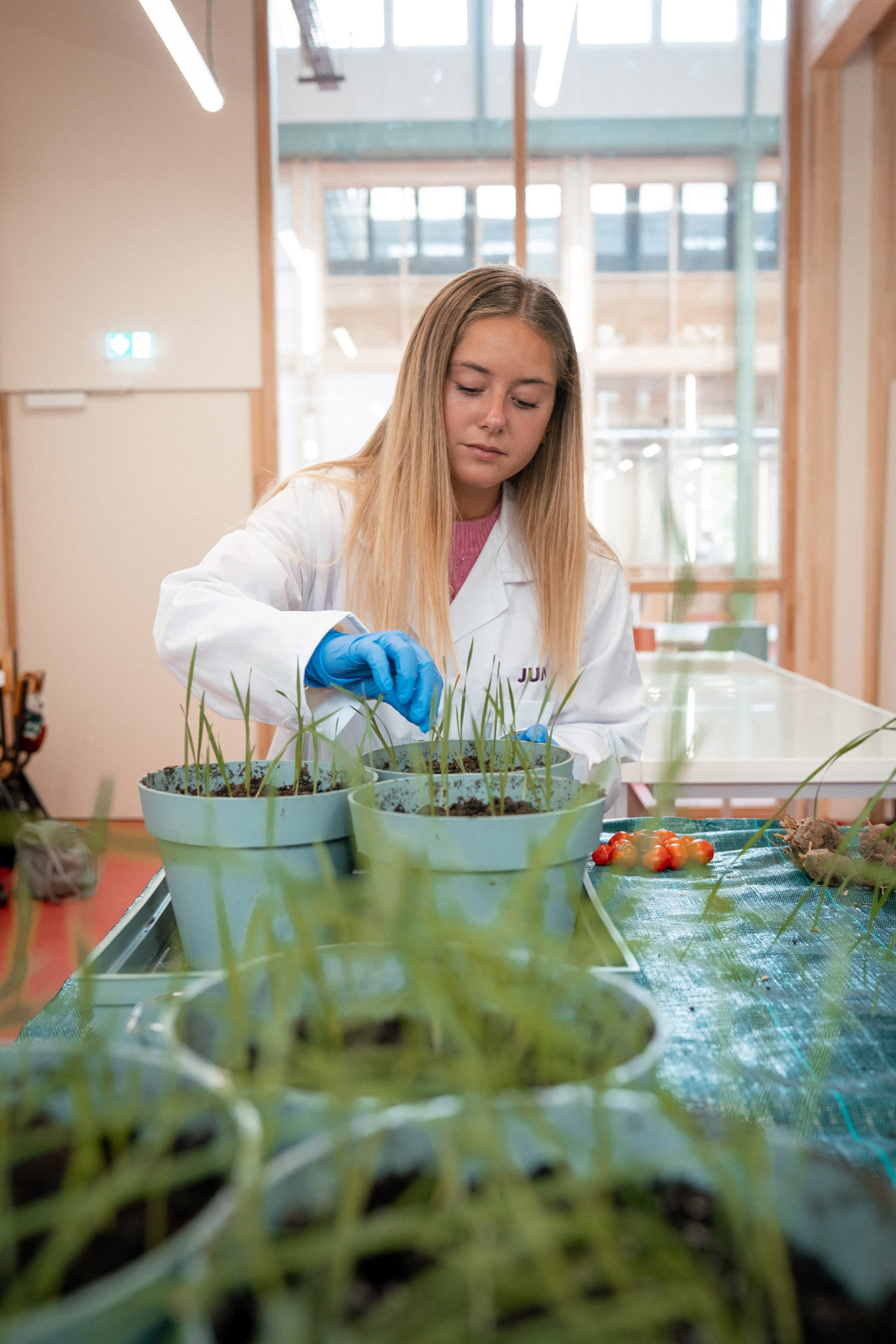 Une étudiante en blouse avec des gants travaille en laboratoire avec des plantes