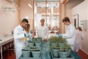 Des étudiants en blouse avec des gants travaillent en laboratoire avec des plantes