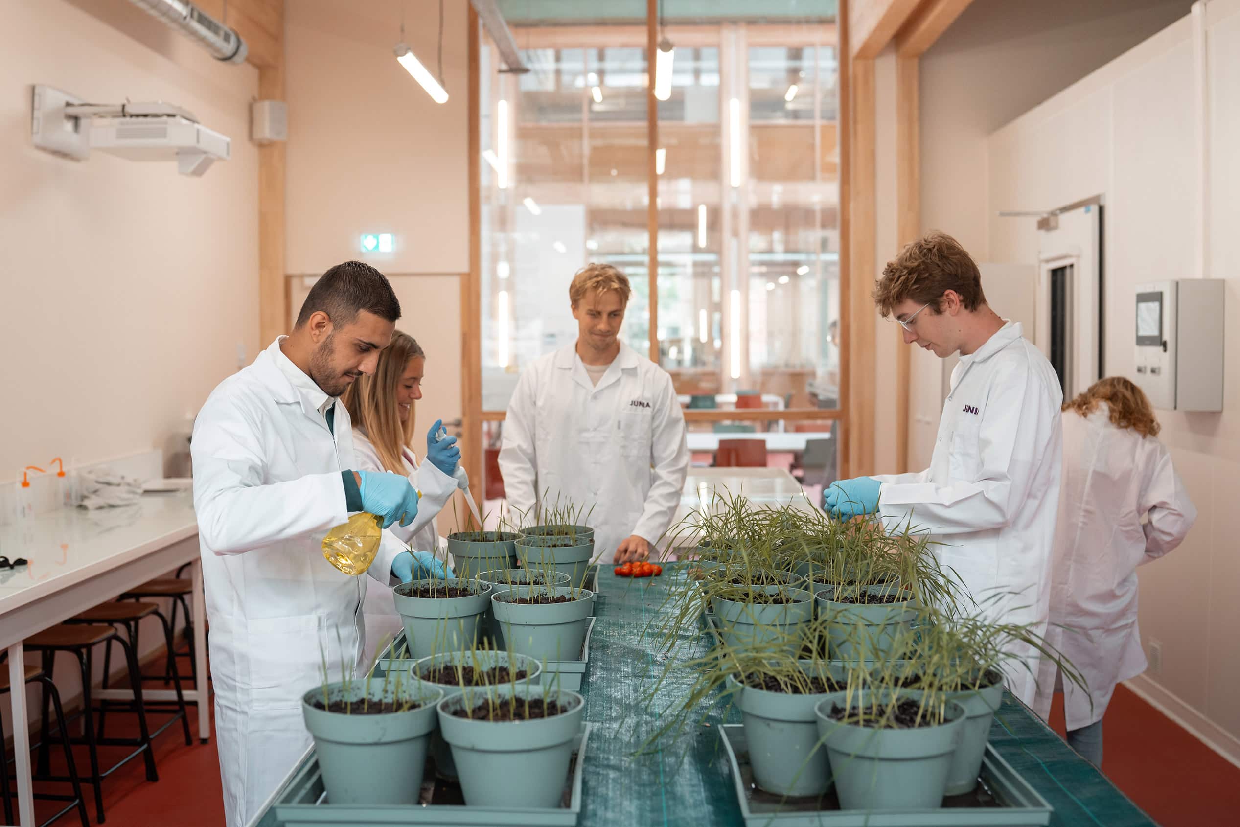 Des étudiants en blouse avec des gants travaillent en laboratoire avec des plantes