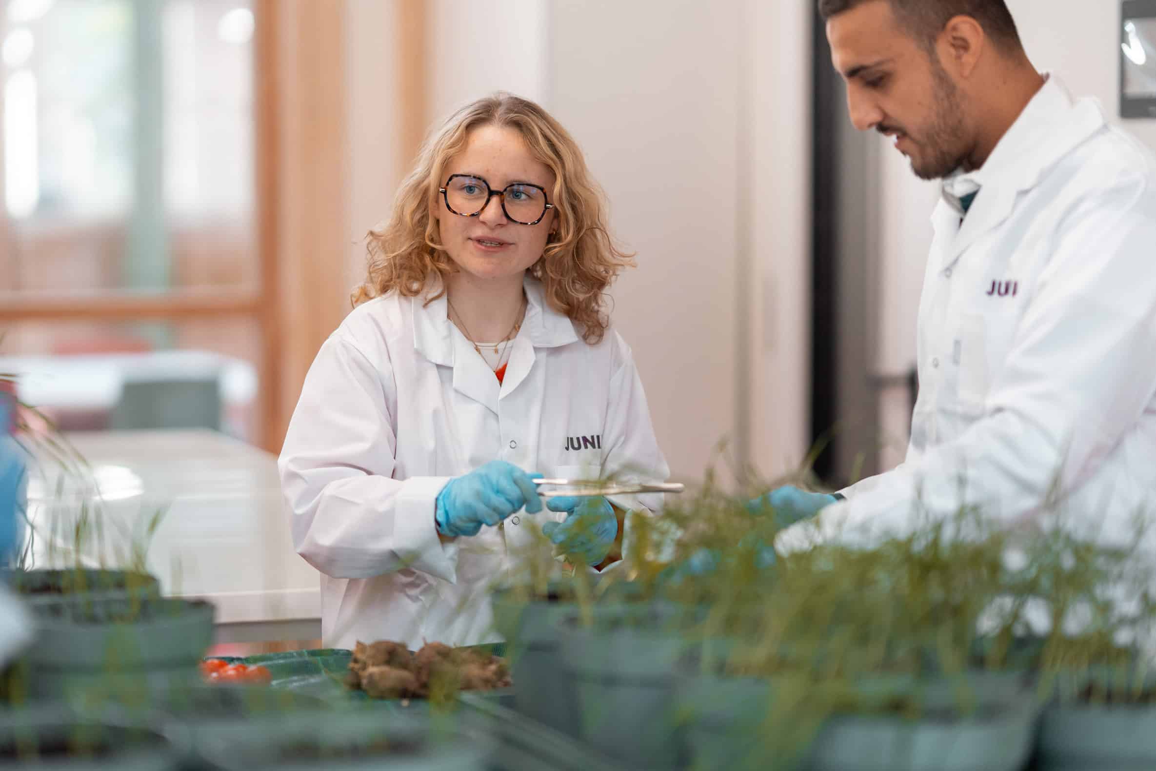 Une étudiante en blouse avec des gants travaille en laboratoire avec des plantes