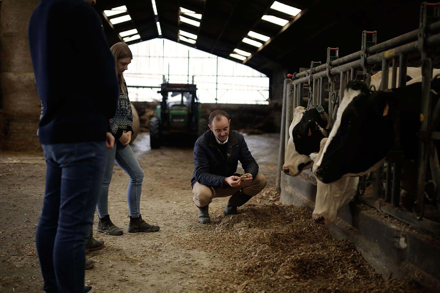 A teacher explaining things to students in a farm with cows