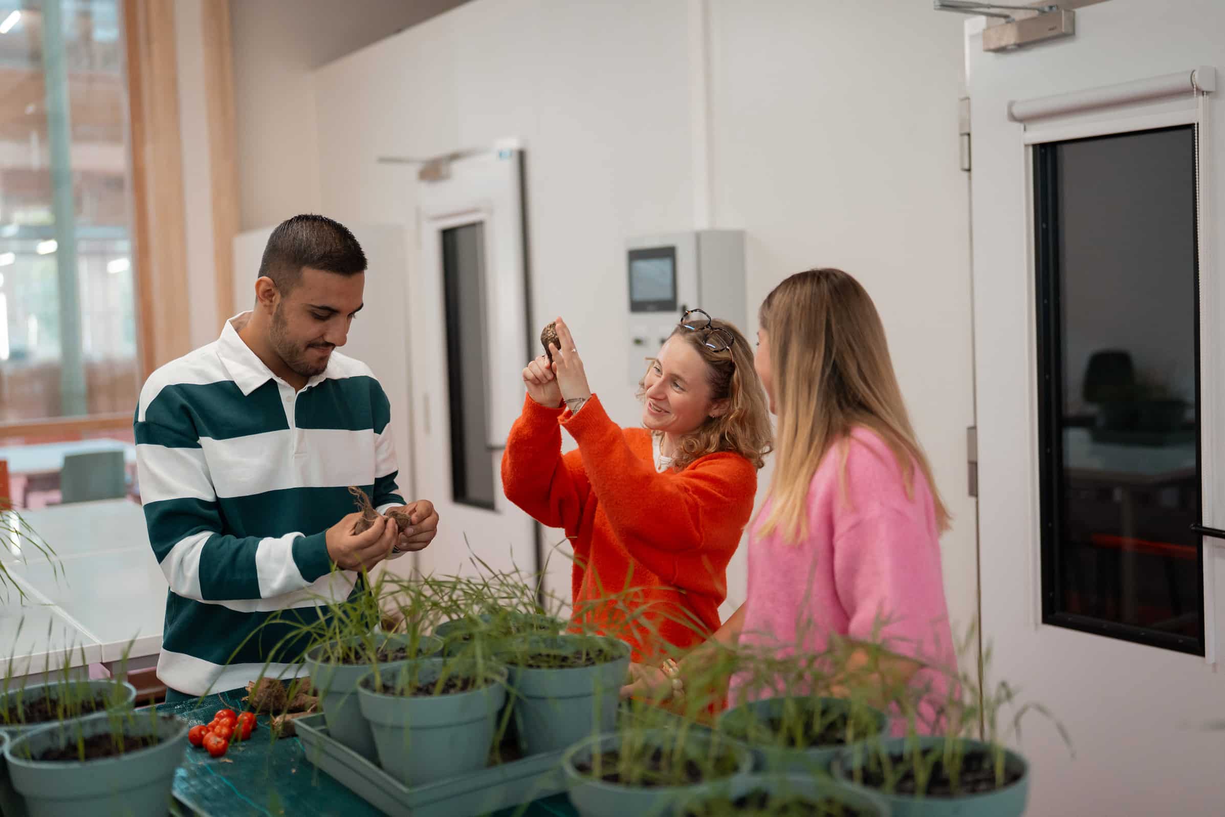 Students making analysis on plants and soil in a lab